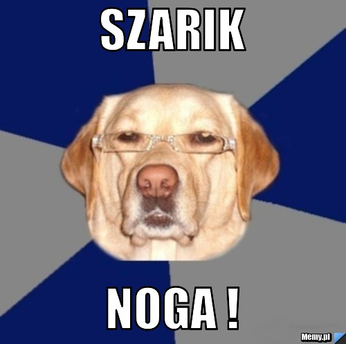 Szarik  NOGA !