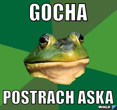 Gocha postrach aska