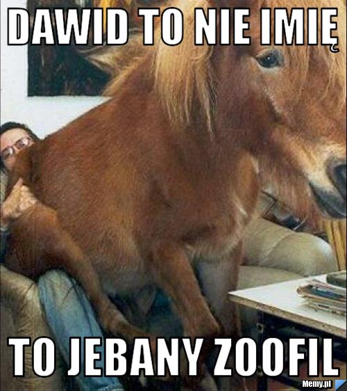 zoofil Dawid to nie imię to jebany zoofil - Memy.pl