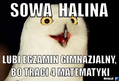 Sowa  Halina Lubi egzamin gimnazjalny, bo traci 4 matematyki