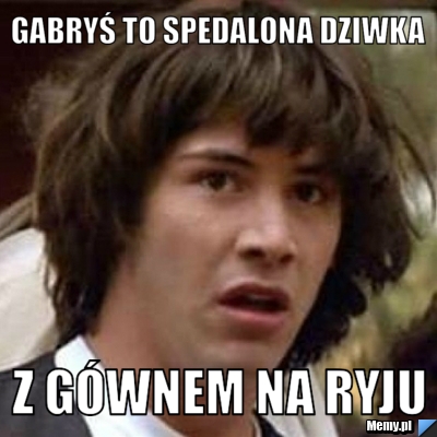Gabryś to spedalona dziwka  z Gównem na ryju
