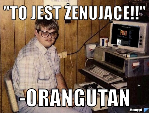 "To jest żenujące!!" -orangutan