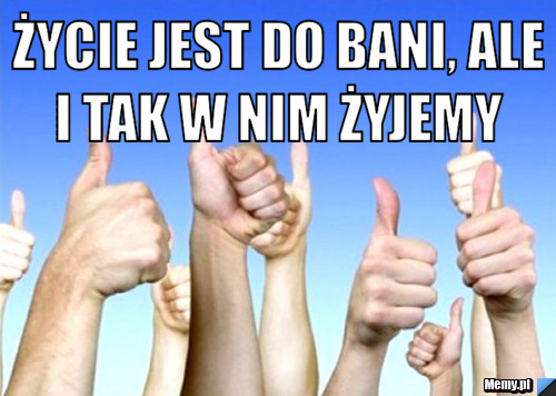 życie jest do bani, ale i tak w nim żyjemy  