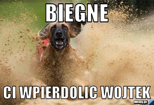 Biegne ci wpierdolic wojtek