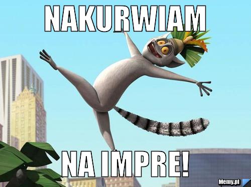 Nakurwiam na Impre!