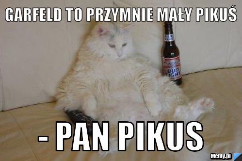 Garfeld to przymnie mały pikuś - pan pikus