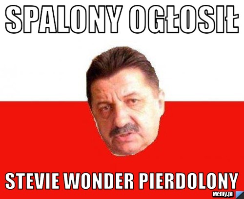 Spalony Ogłosił Stevie Wonder Pierdolony