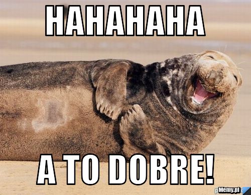 Hahahaha A to dobre! 
