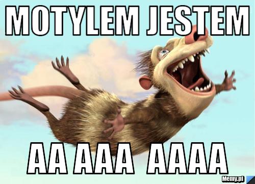 Motylem jestem aa aaa  aaaa