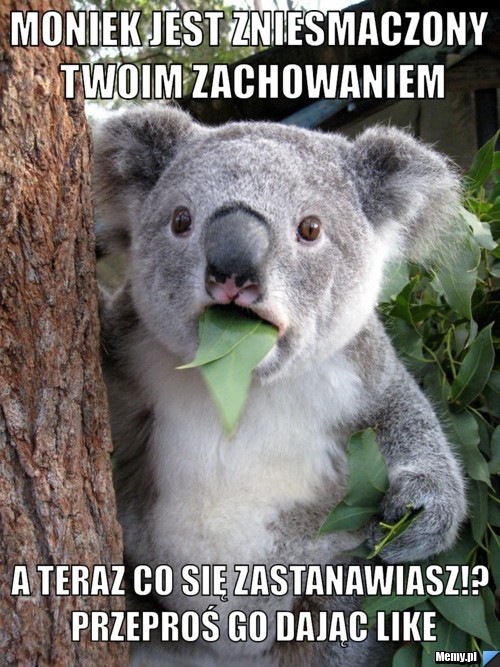 Moniek jest zniesmaczony twoim zachowaniem A teraz co się zastanawiasz!? Przeproś go dając like