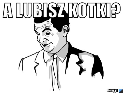 A lubisz kotki? 