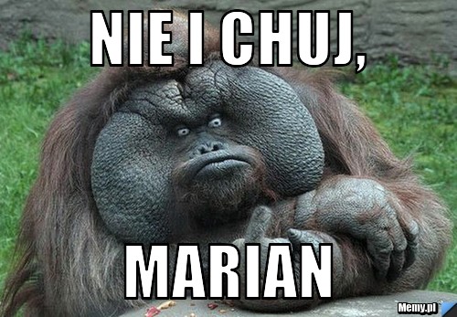 Nie i chuj, Marian