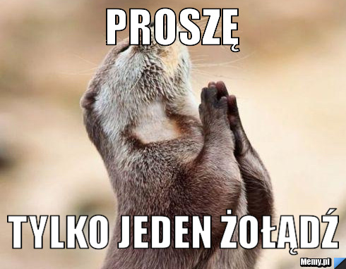 Proszę Tylko jeden Żołądź