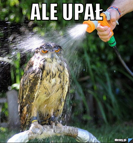 Ale upał 