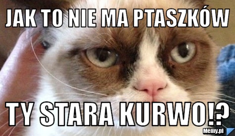Jak to nie ma ptaszków Ty stara kurwo!?