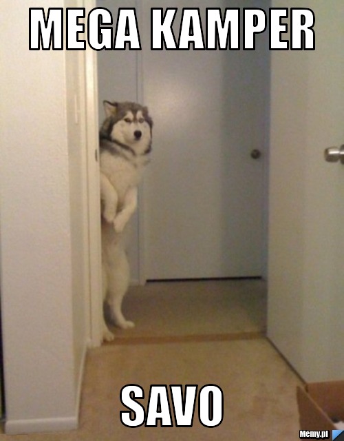 Mega Kamper SAVO