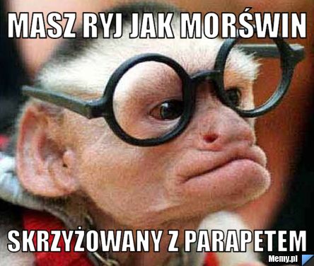 Masz ryj jak morświn skrzyżowany z parapetem