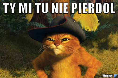 Ty mi tu nie pierdol  