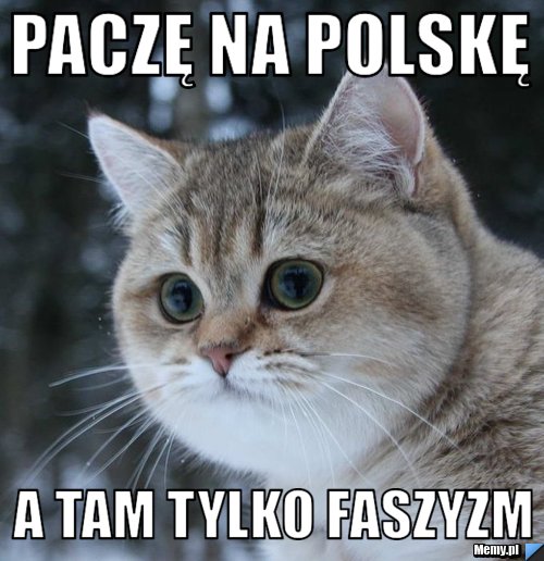 Paczę na polskę a tam tylko faszyzm