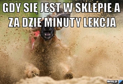 Gdy Się Jest W Sklepie A Za Dzie Minuty Lekcja Memy Pl