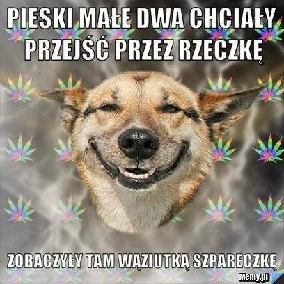 Pieski małe dwa chciały przejść przez rzeczkę zobaczyły tam wąziutką szpareczkę