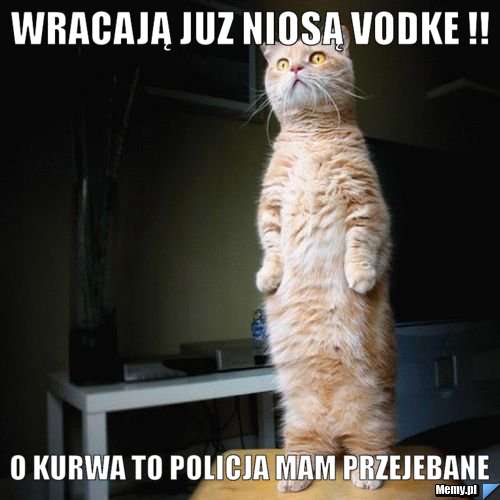 Wracają juz niosą vodke !! o kurwa to policja mam przejebane