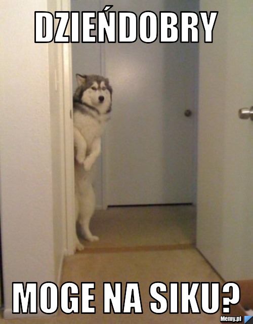 Dzieńdobry moge na siku?