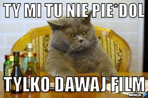 TY MI TU NIE PIE*DOL tylko dawaj film
