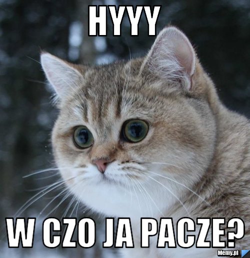 HYYY W czo ja pacze?