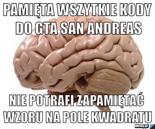 Pamięta wszytkie kody do GTA San Andreas Nie potrafi zapamiętać wzoru na pole kwadratu