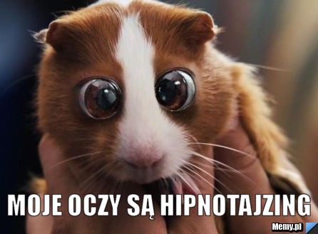  Moje oczy są hipnotajzing