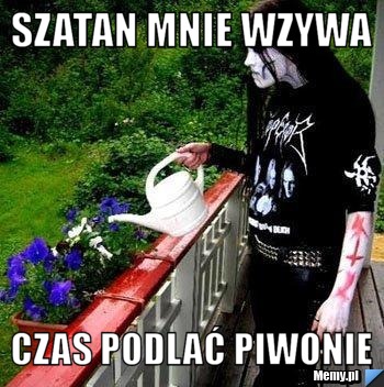 SZATAN MNIE WZYWA CZAS PODLAĆ PIWONIE