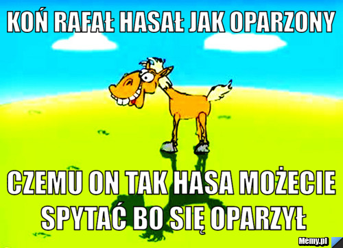 Koń rafał hasał jak oparzony  czemu on tak hasa możecie spytać bo się oparzył