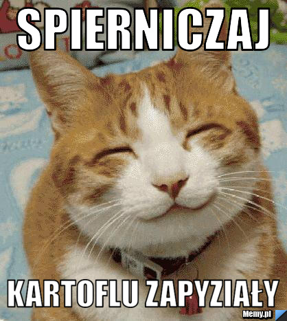 Spierniczaj kartoflu zapyziały