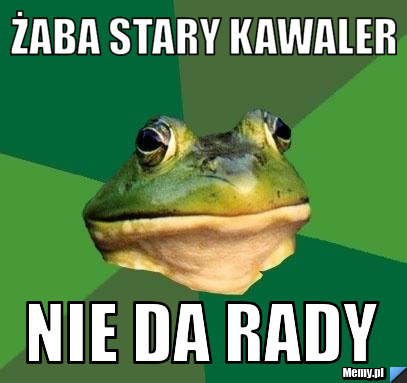 żaba stary kawaler nie da rady