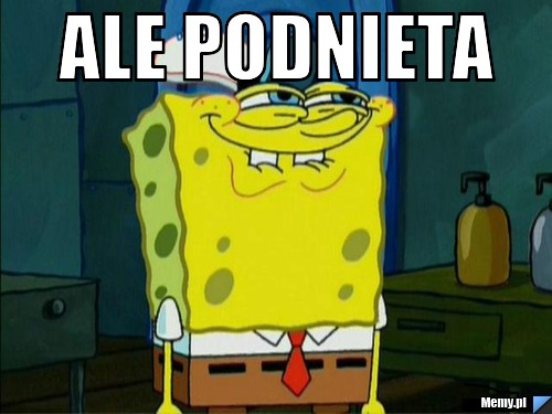 ALE PODNIETA 