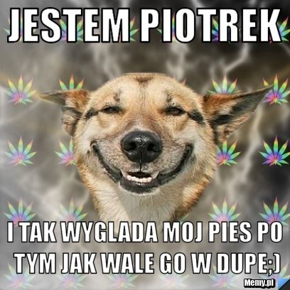 Jestem piotrek i tak wyglada moj pies po tym jak wale go w dupe;)