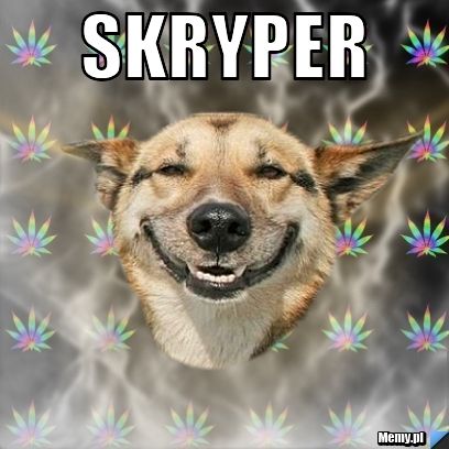 Skryper 