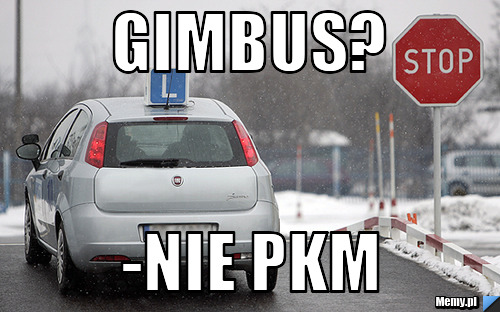 Gimbus? -Nie PKM