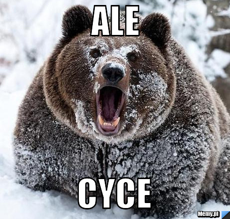 Ale cyce