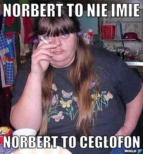 Norbert to nie imie  Norbert to cegłofon 