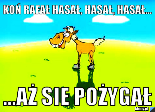 KOŃ RAFAŁ HASAŁ, HASAŁ, HASAŁ... ...AŻ SIE POŻYGAŁ