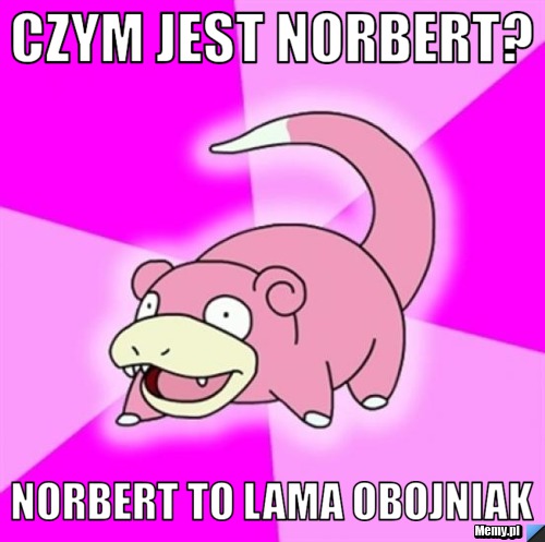 Czym jest norbert? norbert to lama obojniak