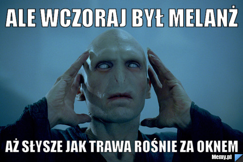 Ale wczoraj był melanż  aż słysze jak trawa rośnie za oknem