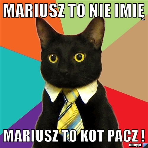 Mariusz to nie imię Mariusz to kot PACZ !