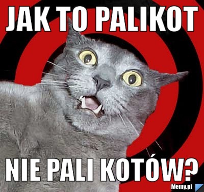 Jak to Palikot nie pali kotów?