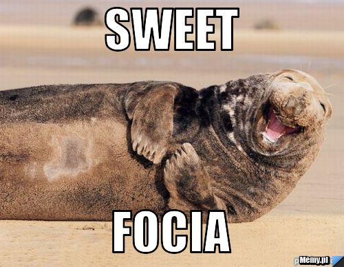 Sweet focia