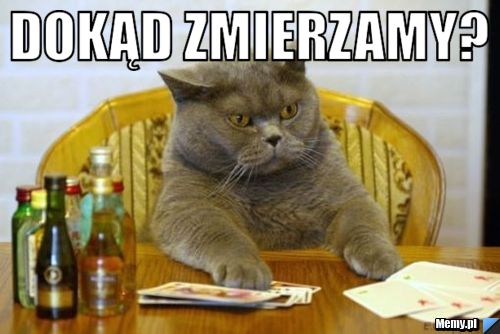 Dokąd zmierzamy? 