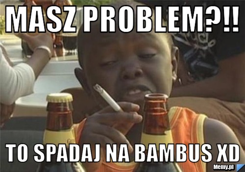 Masz problem?!! to spadaj na bambus xD