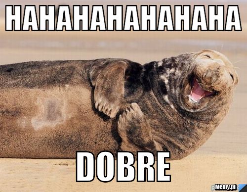 HAHAHAHAHAHAHA DOBRE